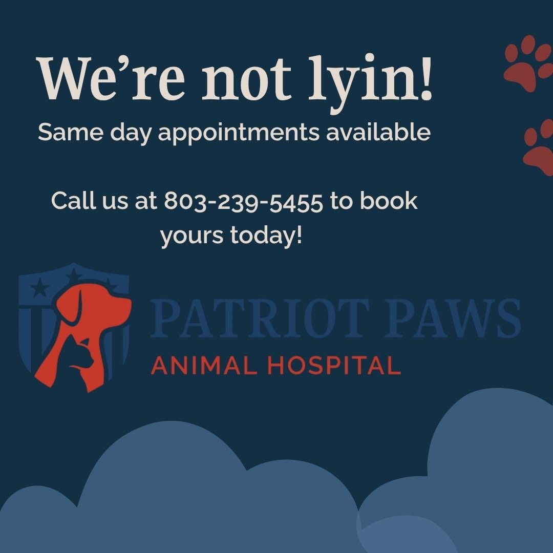 Patriot Paws Animal Hospital social media post