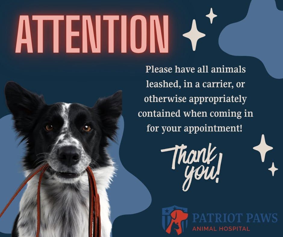 Attention pet owners reminder card from Patriot Paws Animal Hospital