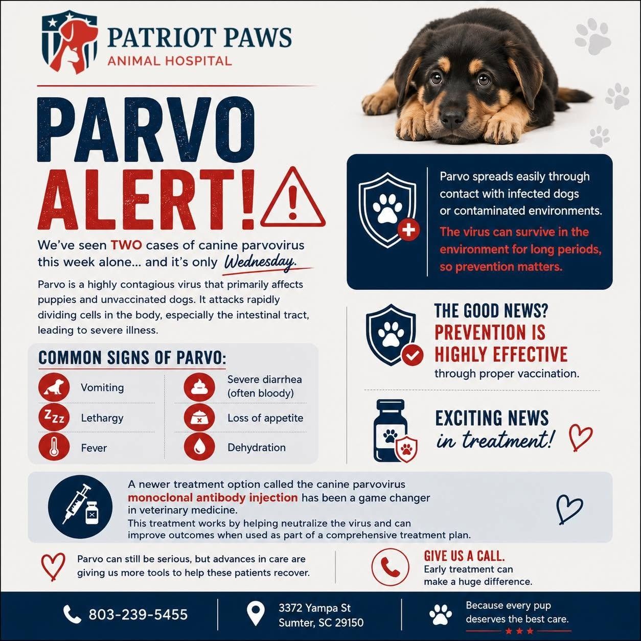 Parvo Alert awareness post from Patriot Paws Animal Hospital